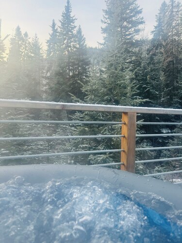 The CAMP HAUS: A Montana Tiny Cabin Forest Retreat