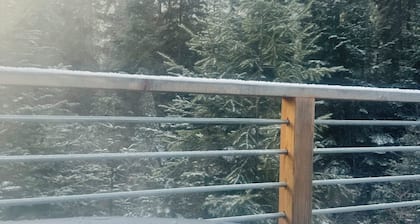 The CAMP HAUS: A Montana Tiny Cabin Forest Retreat