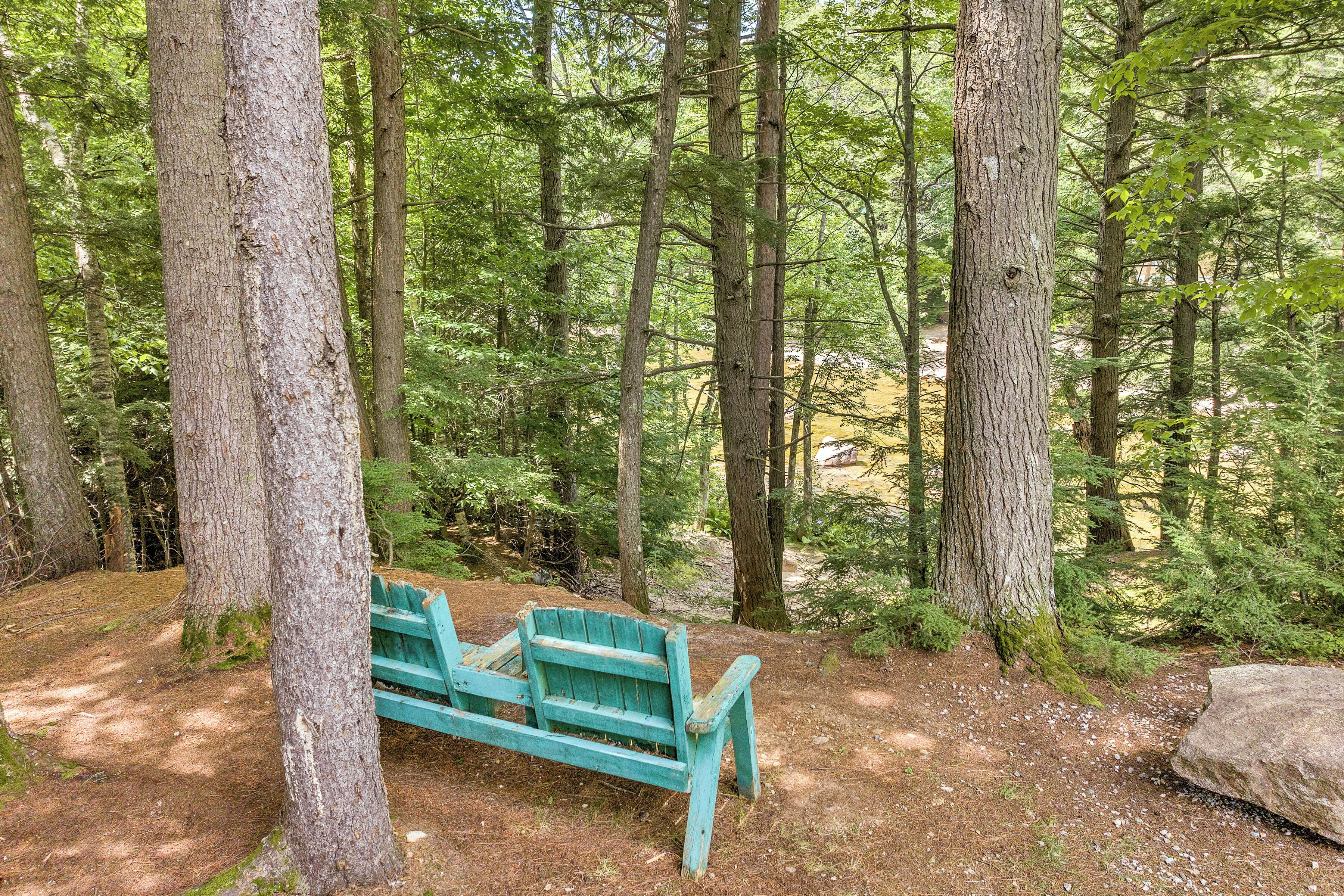 A wooden bench in a forested area with trees and a rock nearby.