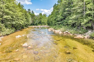 A clear river surrounded by dense forest.