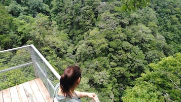 Caminatas