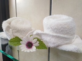 Cabezal de ducha tipo lluvia, artículos de tocador gratuitos