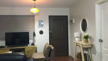 Smart TV, DVD player, video library