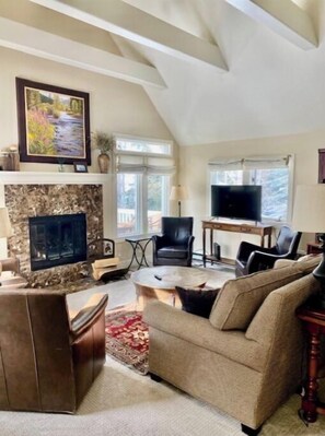 Smart TV, fireplace, books