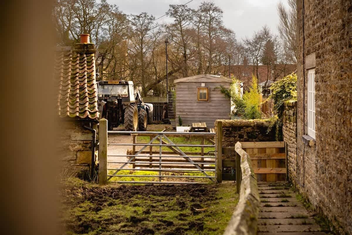 A rustic farm setting with a wooden gate, a small wooden shed, and a tractor in the background.