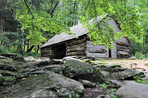 Exterior - Honey Bee Hideaway, nestled in the woods! (Gatlinburg)