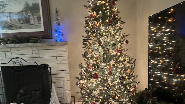 A living room with a decorated Christmas tree, a fireplace, and a television.