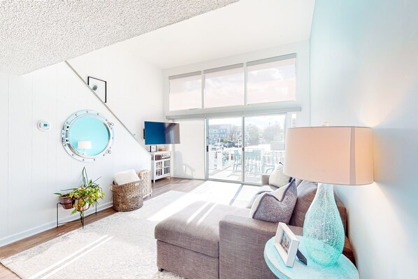 Televisión, reproductor de DVD, libros y videoteca 