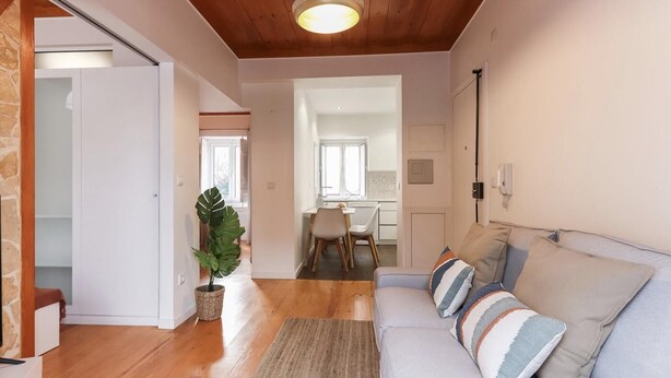 A modern living room with a wooden ceiling, a light-colored sofa with striped cushions, a large plant, and a dining area in the background.