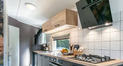 Magnifique chalet avec wellness Ă Veluwe