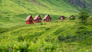 Une rangée de maisons rouges sur une colline verdoyante.