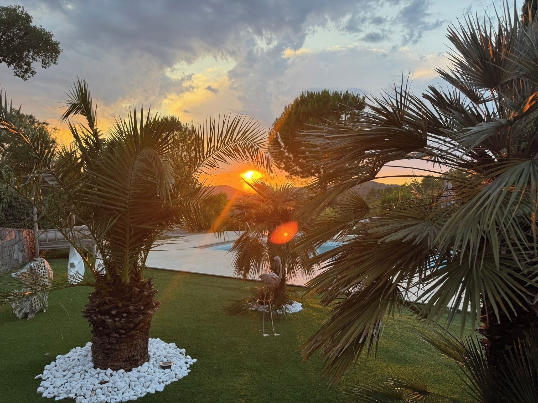 Een tuin met palmbomen, een zwembad en een ondergaande zon.
