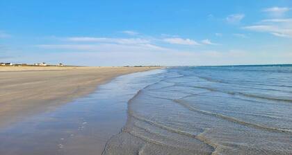 Tipoz'Immo ⹠Le Grand Large 209 ⹠accÚs et vue directe mer ⹠animaux acceptés