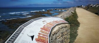 Tipoz'immo-Le Grand Grand 209 -view and direct access to the sea-pets accep