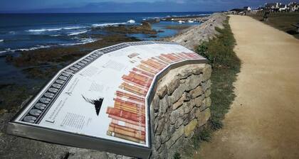 Tipoz'immo-Le Grand Grand 209 -view and direct access to the sea-pets accep