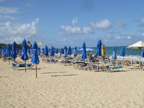 Een strand met rijen ligbedden en parasols.