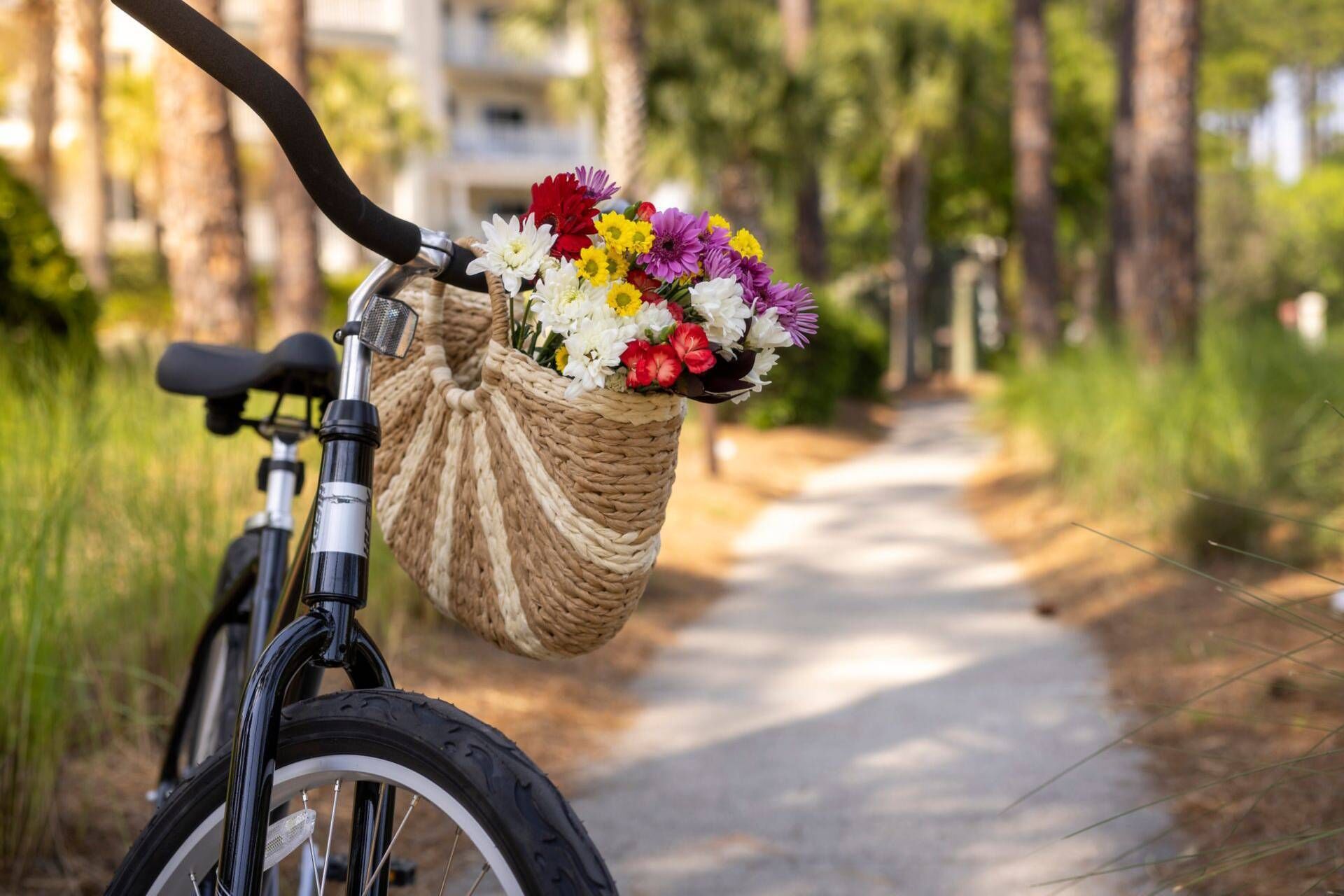A bicycle with a basket containing a variety of flowers.