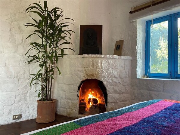 A room with a white brick fireplace, a large potted plant, and a colorful blanket on the floor.