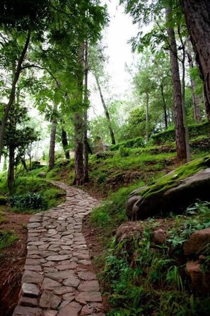 A stone pathway winding through a forested area with trees and greenery.