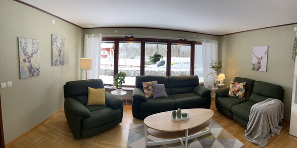 Smart TV, fireplace, video games, books