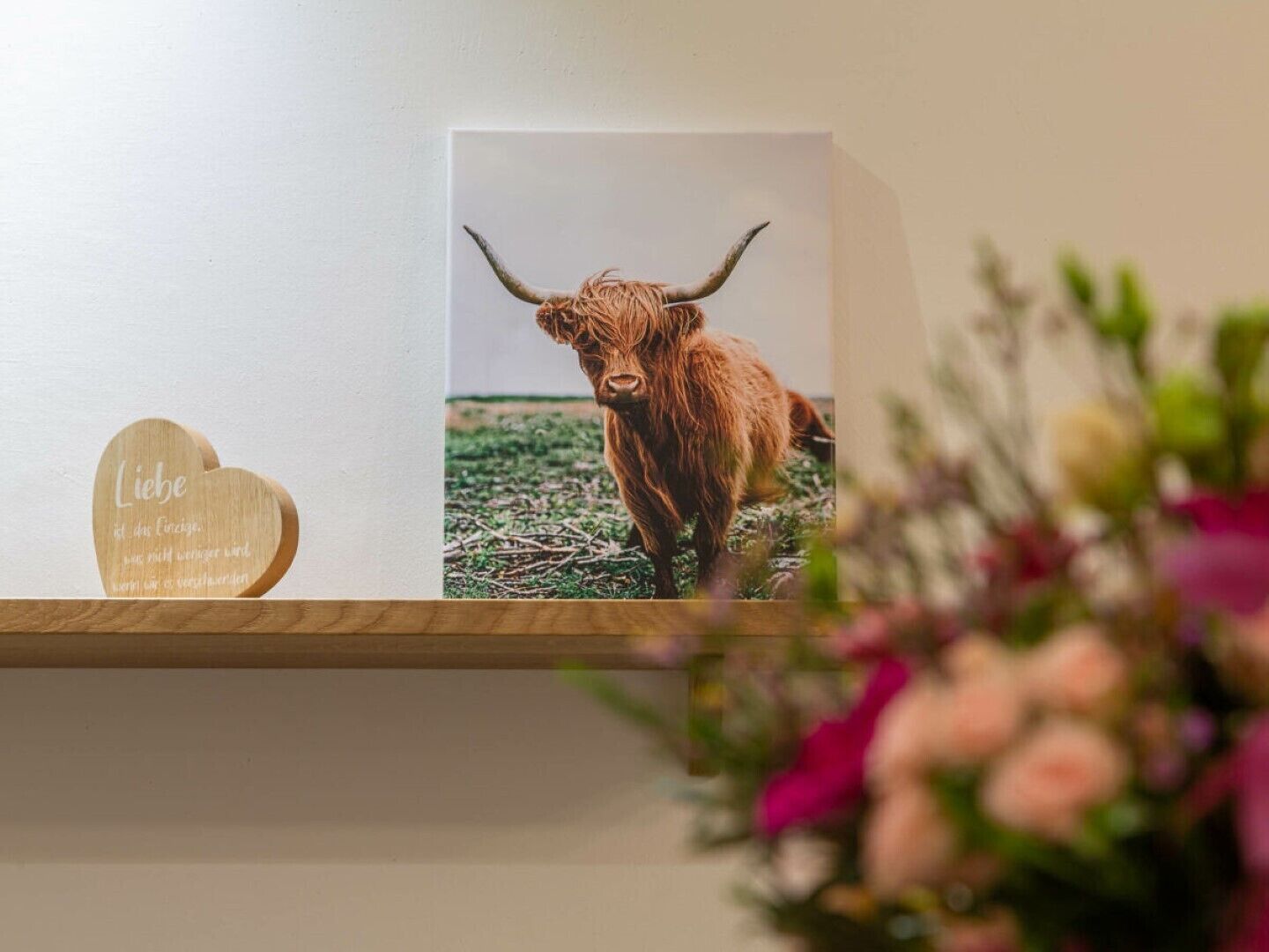 Fotografia de uma vaca Highland em um campo gramado, um letreiro de madeira em formato de coração com texto, e um arranjo floral desfocado.