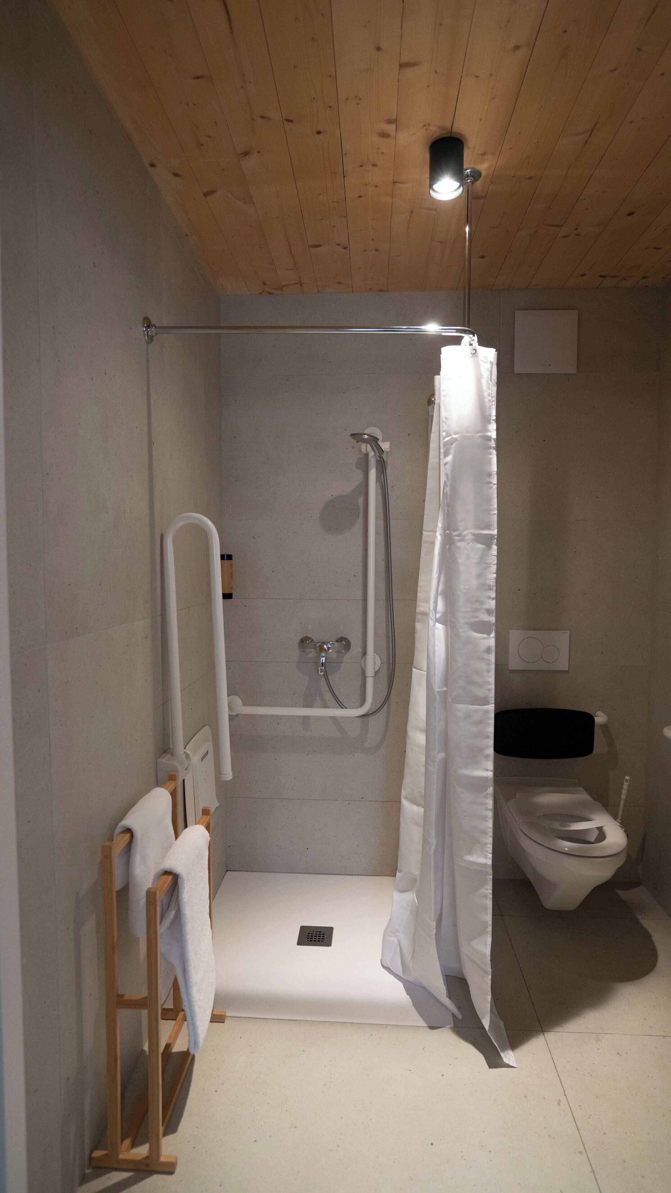 Et badeværelse med bruser, toilet og håndklædestang.