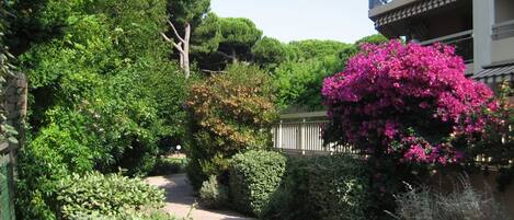 المنطقة المحيطة بالمنشأة