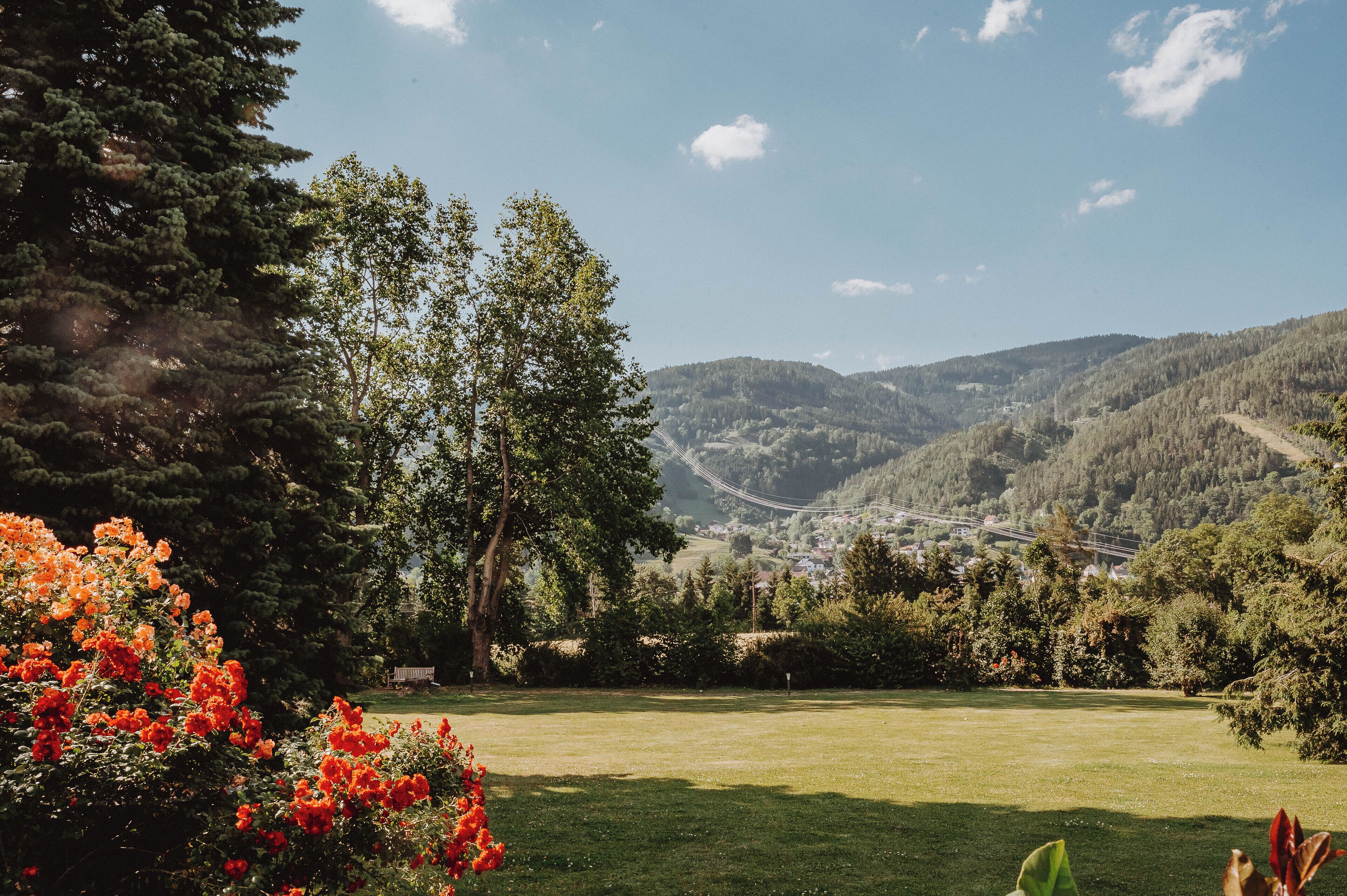 Un paysage verdoyant et luxuriant, avec un ciel dégagé, une variété d’arbres et une vue lointaine sur une vallée traversée par une route.
