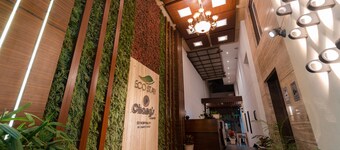 Playsales Eco Stay