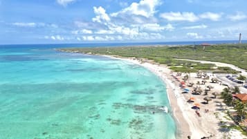 Luxury Condo, 2 Bedrooms | Beach/ocean view