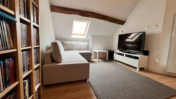 Televisie, een dvd-speler, tafelvoetbal en een tafeltennistafel