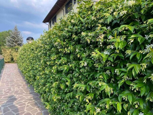 Áreas de la propiedad