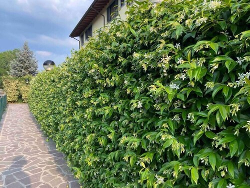 10 Minuten vom Flughafen Orio al Serio BGY entfernt