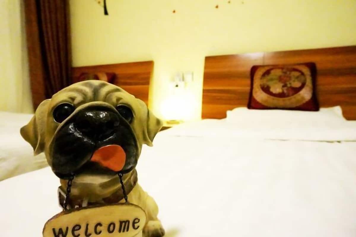 Un carlin avec une pancarte « Bienvenue » posée sur un lit dans une chambre d’hôtel.