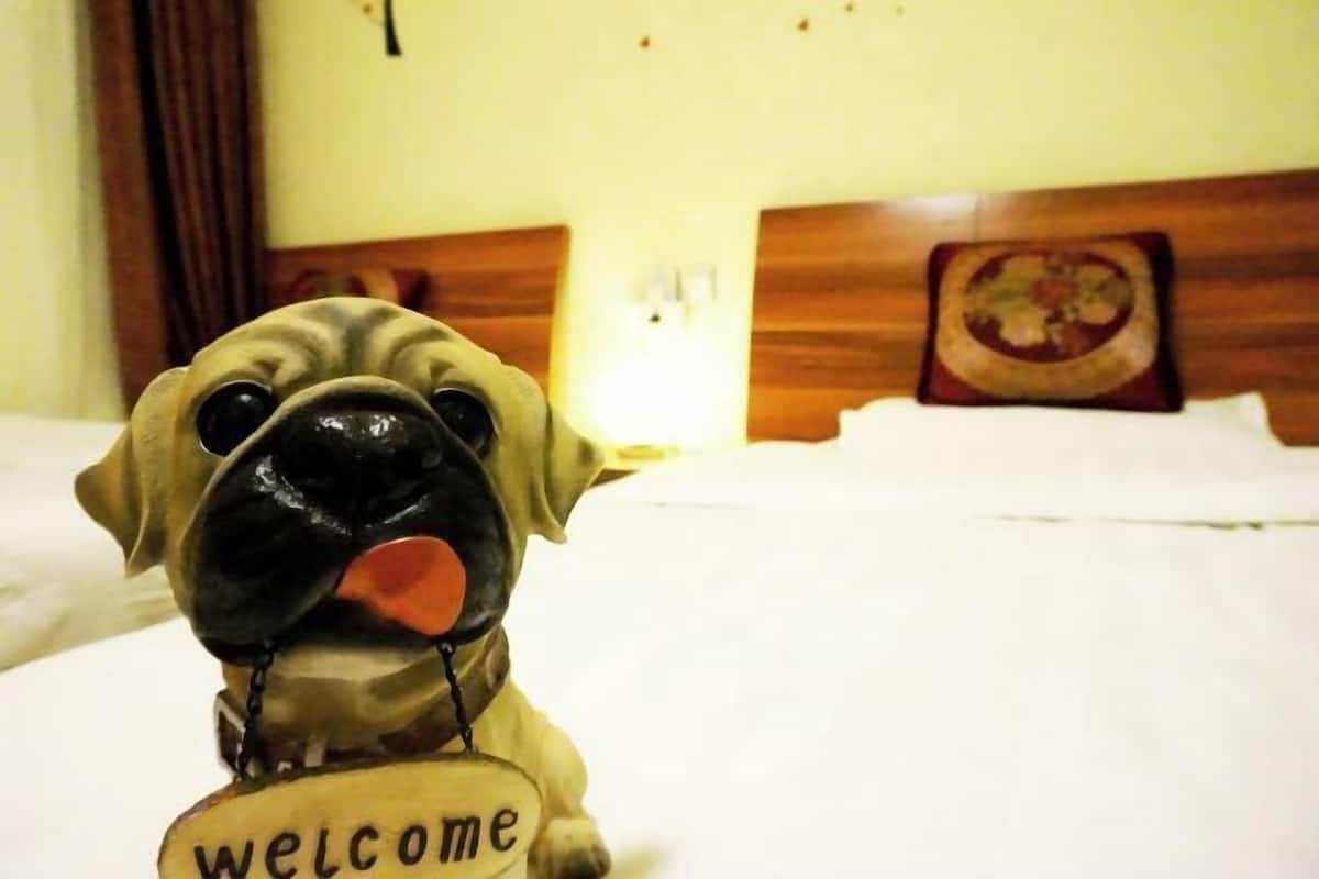 Un carlin avec une pancarte « Bienvenue » posée sur un lit dans une chambre d’hôtel.
