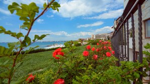 Ein Garten mit roten Blumen und Blick auf ein Gebäude an der Küste.
