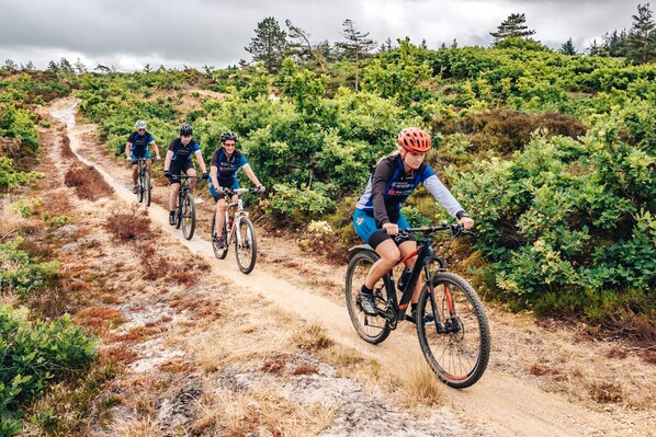 A group of cyclists on a dirt trail surrounded by greenery.