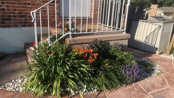 Terrain de l’hébergement