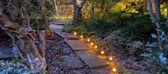 Ailim House Serviced Cottage