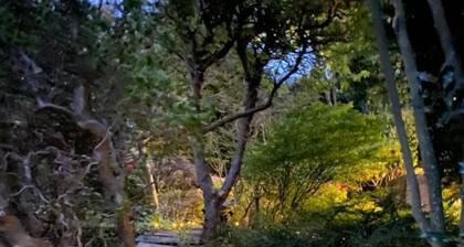 Ailim House Serviced Cottage