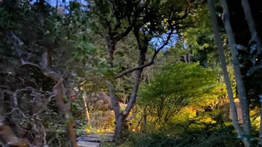 Ailim House Serviced Cottage
