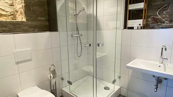 A modern bathroom with a glass-enclosed shower, a white toilet, and a sink with a mirror.