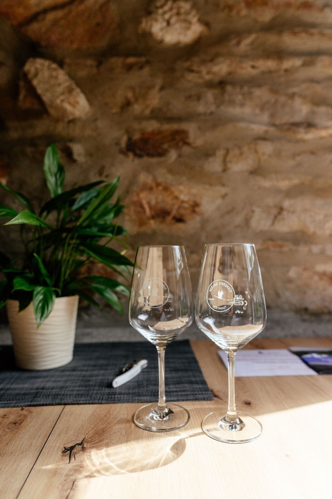 Two wine glasses on a wooden table with a potted plant and a stone wall in the background.
