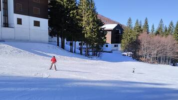 Wintersport/Ski