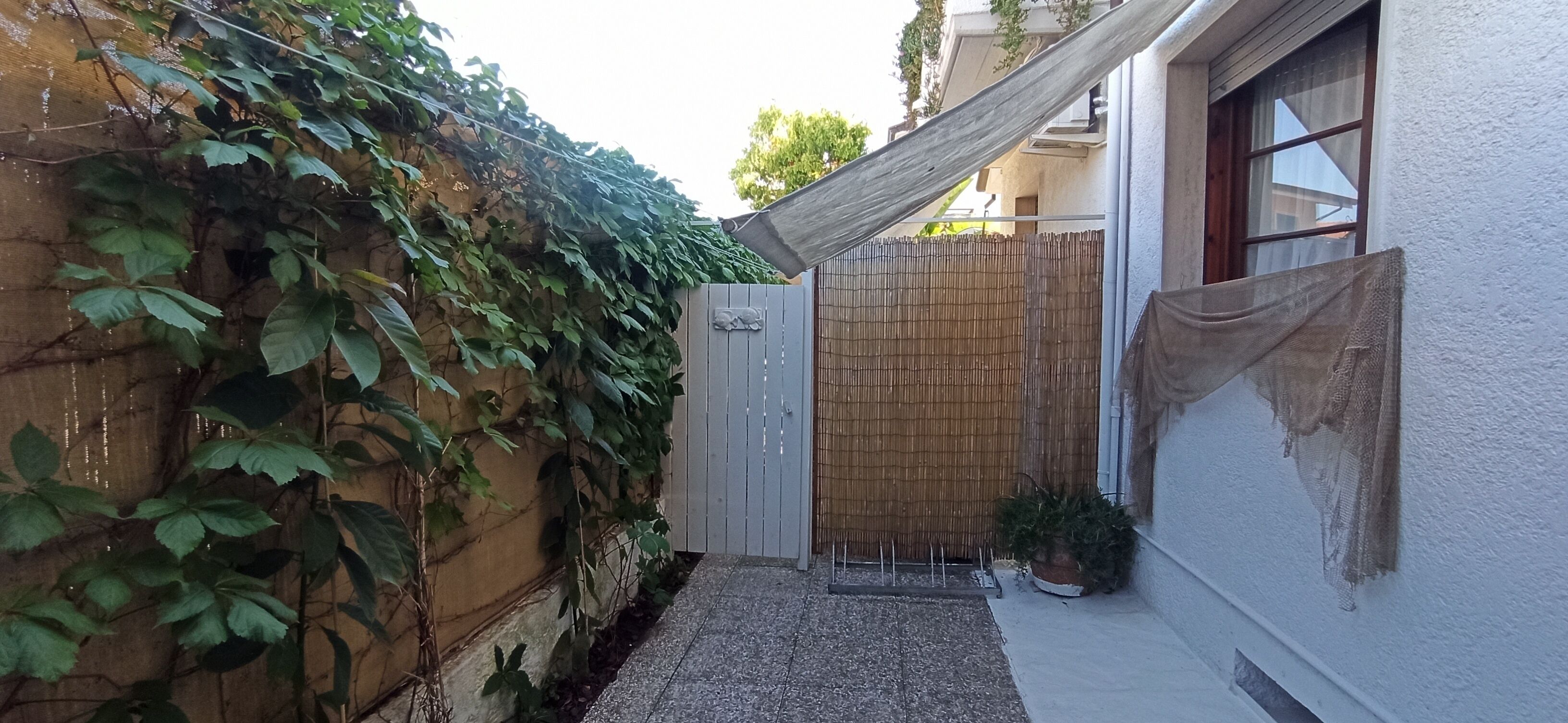 A narrow alleyway with a wooden gate, a bamboo fence, and a potted plant.
