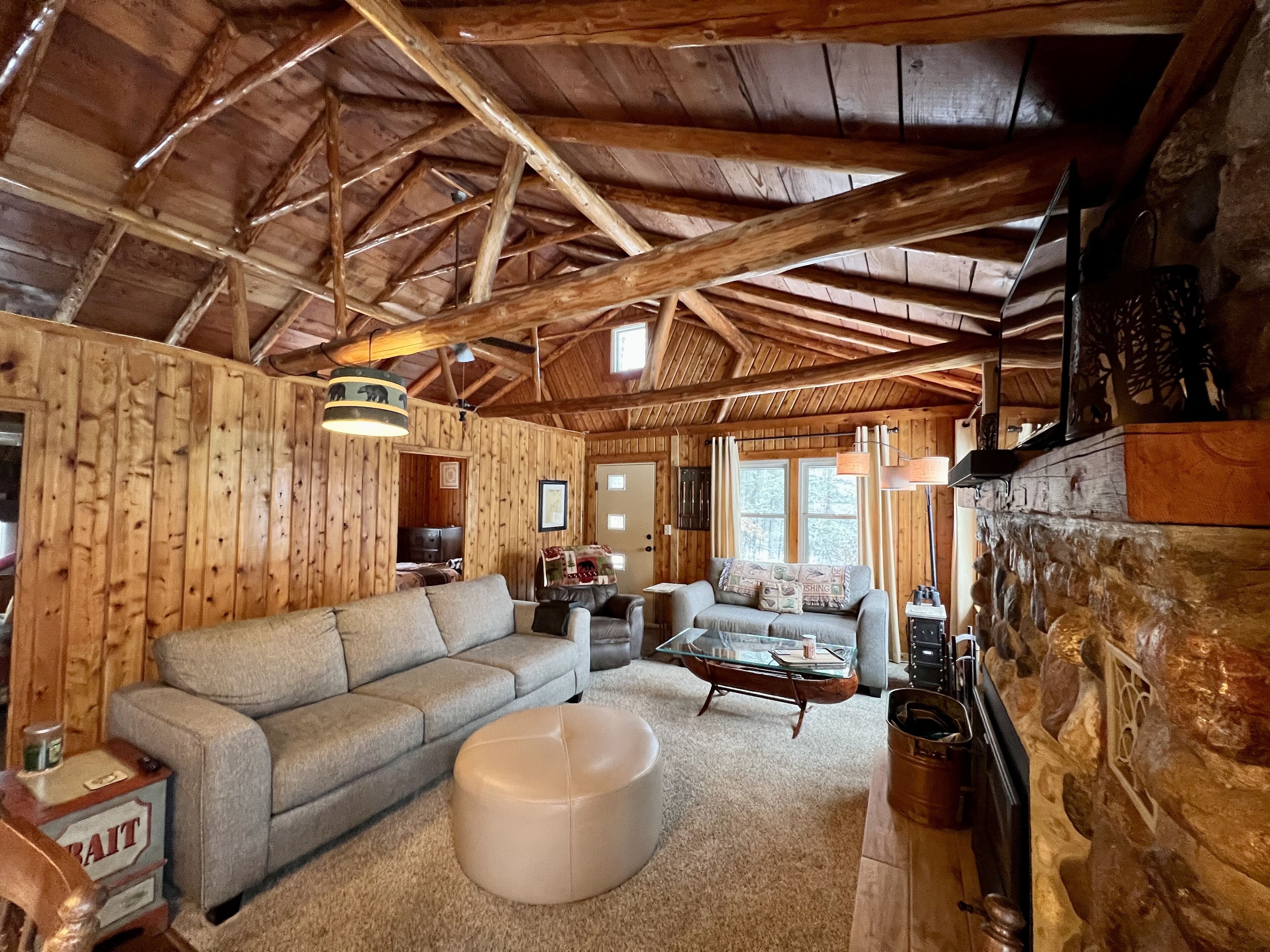 Smart TV, chimenea, reproductor de DVD y libros 