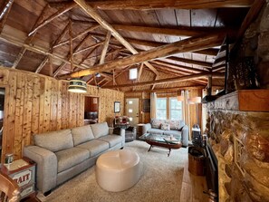 TV connectée, cheminée, lecteur de DVD, livres