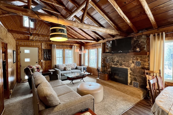 Smart TV, chimenea, reproductor de DVD, libros