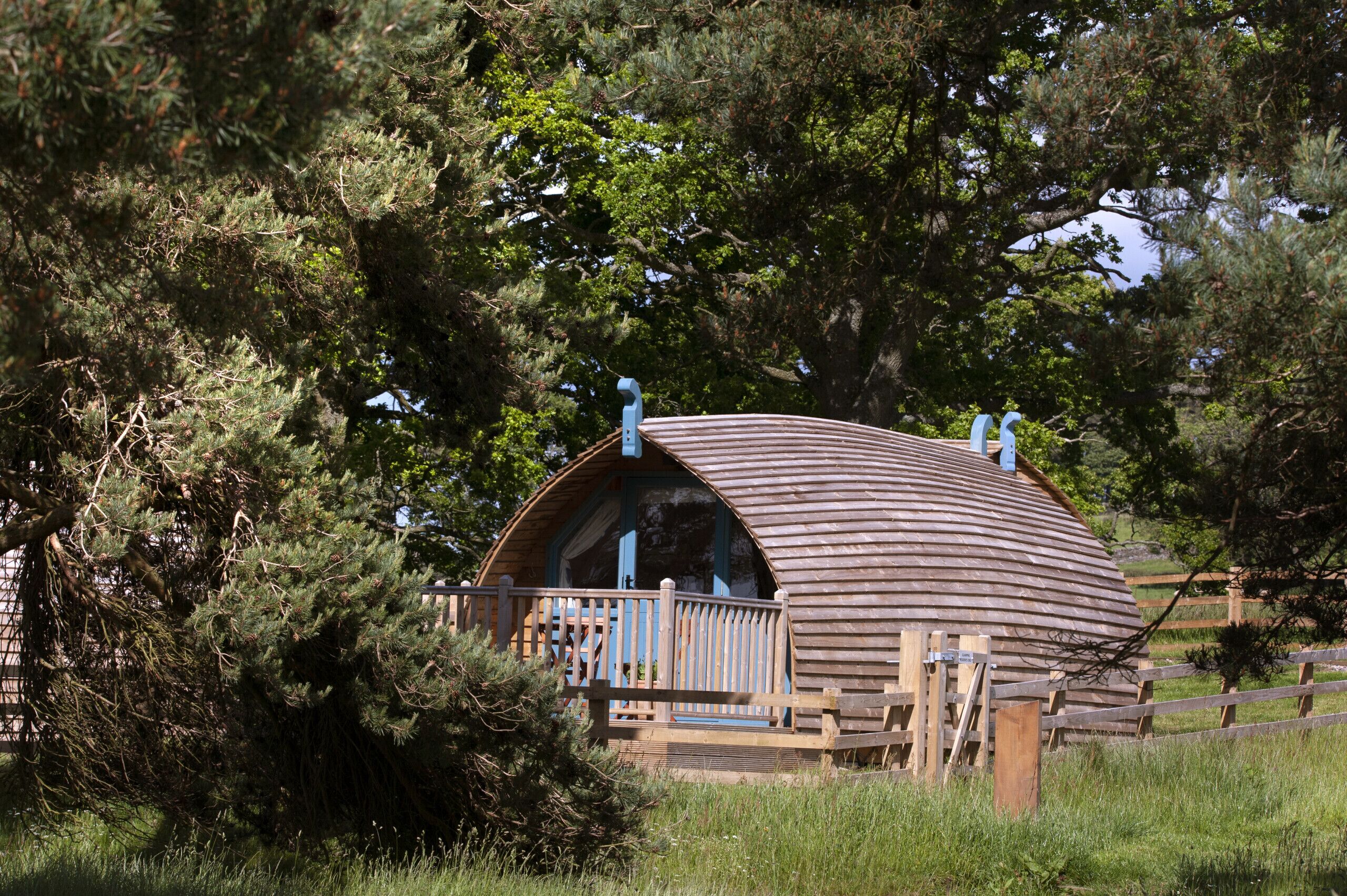 Une cabane en bois en forme de dôme, dotée d’une terrasse et d’une rambarde en bois, et entourée d’arbres.