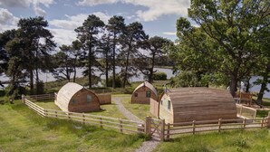 A row of wooden cabins with a gravel path leading to them, surrounded by a wooden fence and trees.